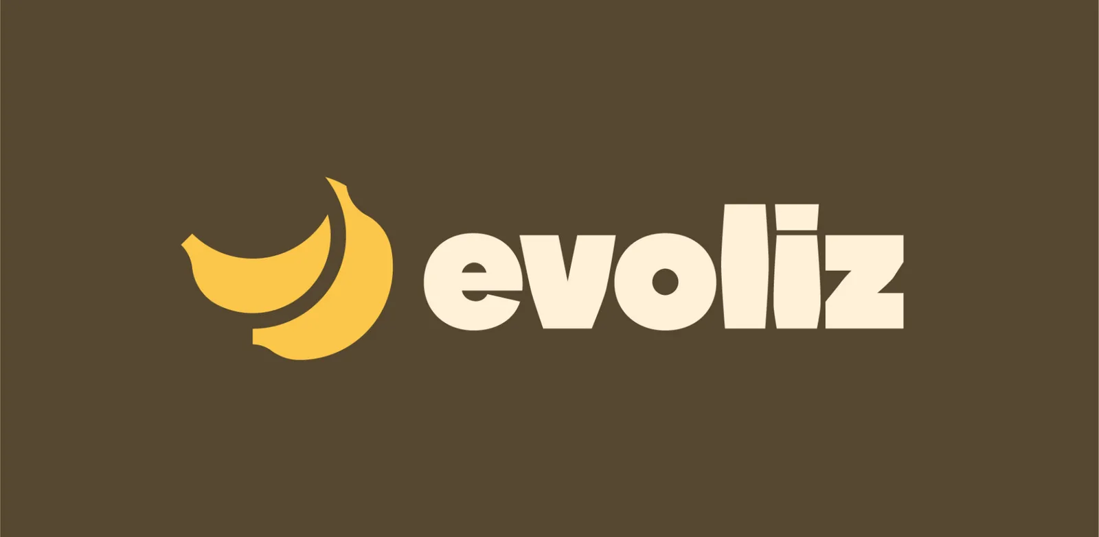 Aperçu de Evoliz